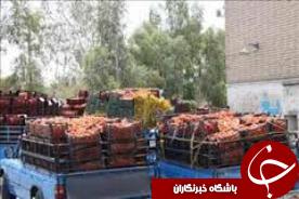 ادامه خرید تضمینی پیاز و گوجه فرنگی تا تیرماه
