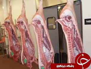 صدور و تمدید 14 فقره پروانه بهداشتی حمل دام
