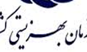 هزار کودک سر راهی و پاسکاری مسئولان + صوت