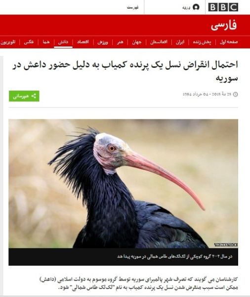 رئیس بی بی سی ملزم به استعفا شد