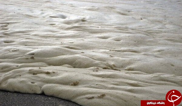 ساحل کاپوچینو، پدیده ای زیبا و شگفت انگیز