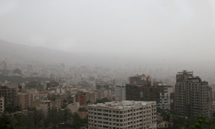 تاثیر آلودگی هوا بر مغز کودکان/ کم هوشی تا آلزایمر