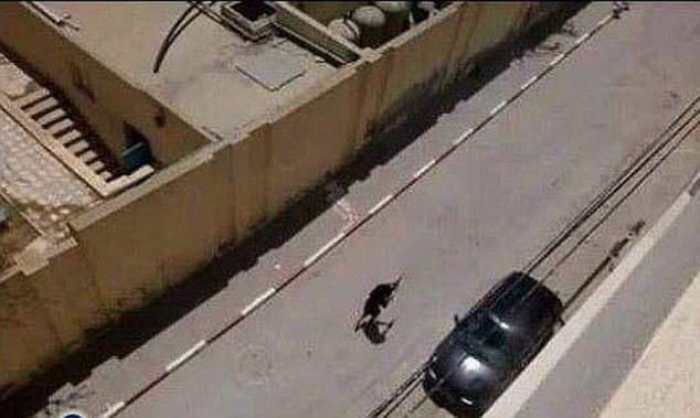 عوامل حادثه تروریستی تونس قبل و بعد از عملیات + تصاویر
