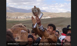 ادامه خداحافظی شکارچیان با شکار در شهرستان مهاباد