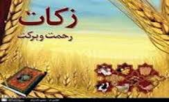 هدیه باغداران خراسان جنوبی بین نیازمندان