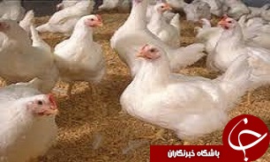 آنفلوانزا در قزوین وجود ندارد
