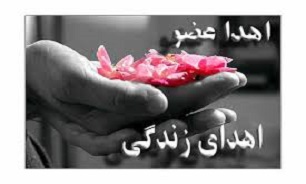 اهدا عضو ، اهدا زندگی