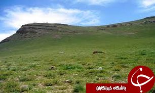 رفع تصرف 58 هکتار از اراضی دولتی در گیلان