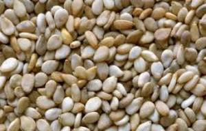 تولید 2500 تن روغن کنجد در یزد