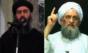 پیام القاعده به داعش: جایی در بهشت ندارید