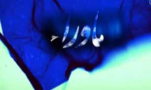 ازماوراء کمکی رسید و نجات یافت + فیلم