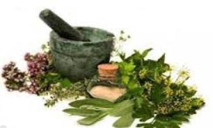 مصرف کاسنی و بهبود لثه تحلیل رفته