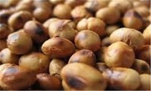 پیش بینی برداشت 14 هزار تن سویا از اراضی شهرستان پارس آباد
