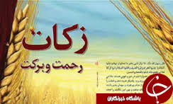 اهداء درخت برای زکات شجره طیبه توسط کشاورزان و باغداران  خراسان جنوبی