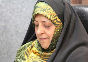 رییس سازمان محیط زیست کشور دوشنبه به یاسوج سفر می کند