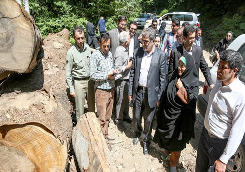 حضور ابتکار در زنجیره انسانی حفاظت از جنگل های مازندران