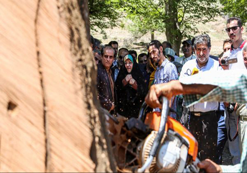 حضور ابتکار در زنجیره انسانی حفاظت از جنگل های مازندران