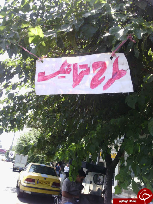 طرح ترافیک درختی
