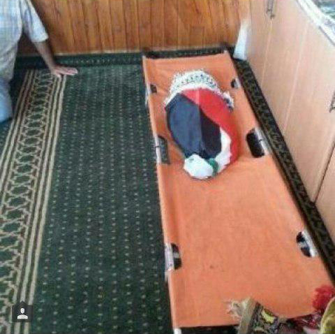 نوزاد فلسطینی صدرنشین برترین های توئیتر