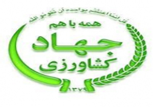 80 درصد اخذ سند املاک جهاد کشاورزی در آذربایجان غربی