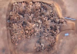 کشف قبری دسته جمعی در چین