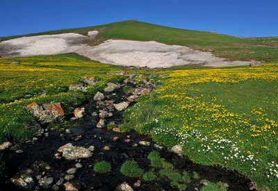 جایی شبیه به رویا + عکس