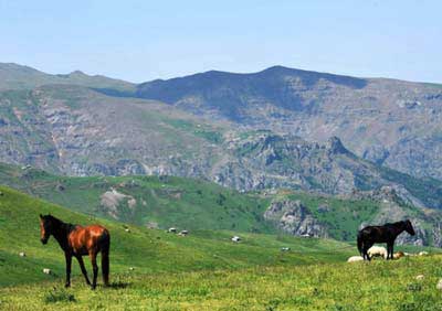 جایی شبیه به رویا + عکس