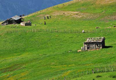 جایی شبیه به رویا + عکس