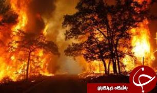 آتش به جان جنگل های الوار گرمسیری اندیمشک افتاد