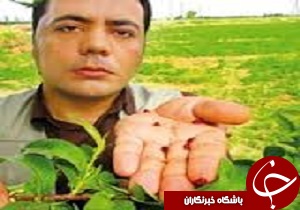جذاب اما چندش آور!