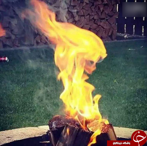 تصاویر هایی از لحظه ثبت به موقع دوربین + عکس