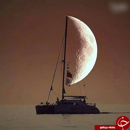 تصاویر هایی از لحظه ثبت به موقع دوربین + عکس