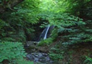 چشمه ای از نوع آب درمانی