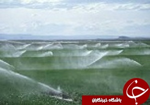 تجهیز بیش از ۳۰ هزار هکتار از مزارع قزوین به سیستم آبیاری نوین