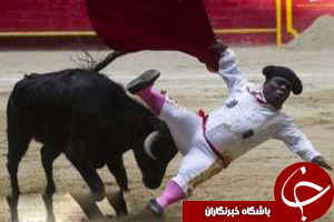 کوتوله ها و شغلی عجیب و خطر ناک + عکس