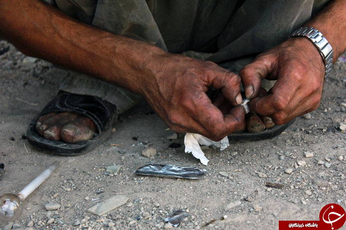 شهر در تسخیر بی خواب ها !