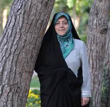 بهره برداری از جنگلها متوقف می شود
