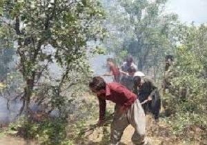 مهارکامل آتش سوزی کوه‌های دهستان گاورود در شهرستان کامیاران