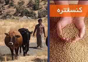 تامین بیش از ۱۰۰ تن خوراک دام برای عشایر هرمزگان