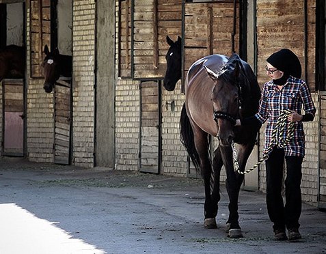 فرناز هاشمی، تنها دختر نعلبند ایران! +تصاویر