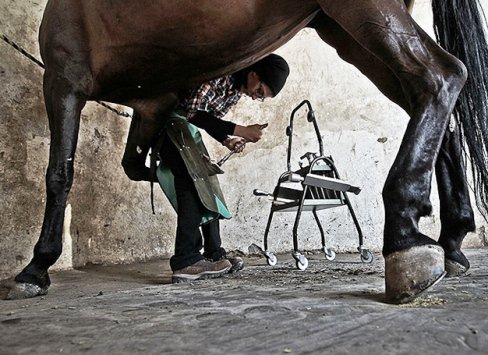 فرناز هاشمی، تنها دختر نعلبند ایران! +تصاویر