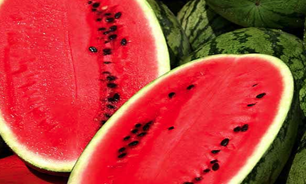 تکنیک هایی برای خرید هندوانه شیرین، بی‌شرط چاقو