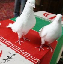 خراسان جنوبی 51 شهید ورزشکار تقدیم انقلاب اسلامی کرده است