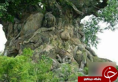 حک شدن 325 نوع حیوان روی تنه یک درخت + عکس