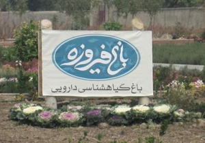 400نوع گیاه دارویی با خواص شگفت انگیز در باغ گیاه شناسی فیروزه