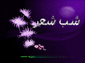 برگزاری نخستین 2 سالانه کارگاه آموزشی شعر هرمزگان