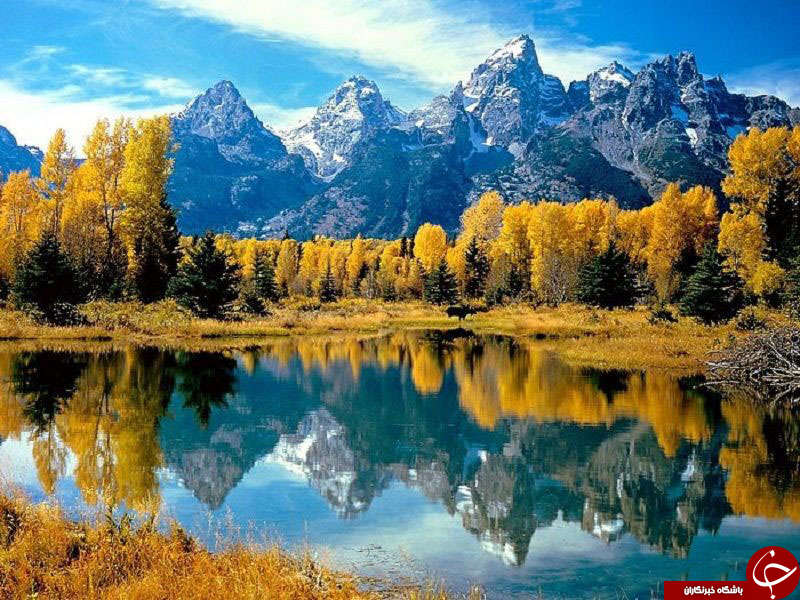 تصاویری بکر و زیبا از انعکاس طبیعت در آب + ///عکس در حال کار