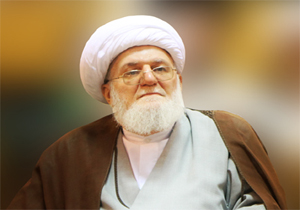 آیت‌الله تسخیری: لایحه حقوق بشر اسلامی بسیار غنی‌تر از لایحه جهانی حقوق بشر است