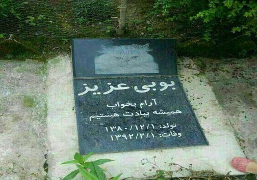 فبرستان حیوانات خانگی+ عکس
