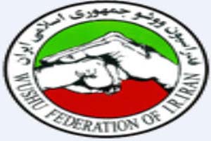جوانان ووشوکار حریفان خود را شناختند